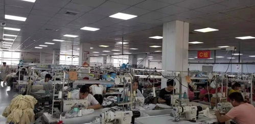 服装厂网络工程建设 中工招商网如何助力智能化升级