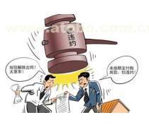 法律诉讼产品库 提升法律诉讼效率与精准度的专业工具